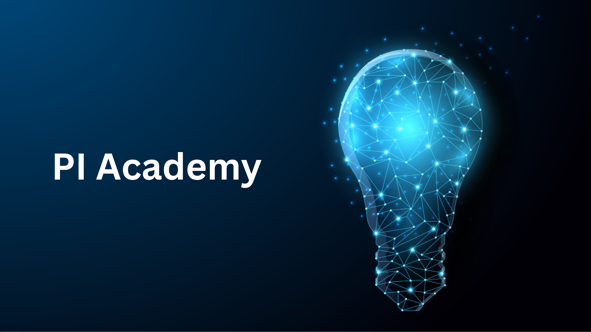 PI_Academy_Website.png